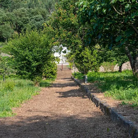 Βίλα Casa Da Torre Luxury In Μπράγκα